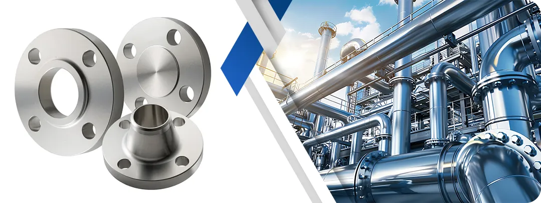 Titanium Flanges Manufacturer in India